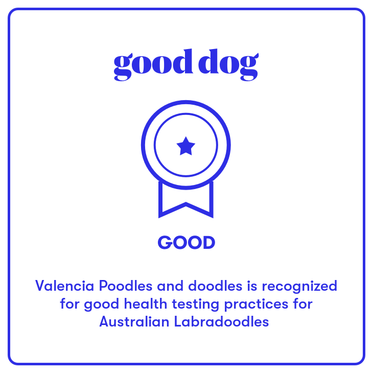 Good Health Australian Labradoodles Badge